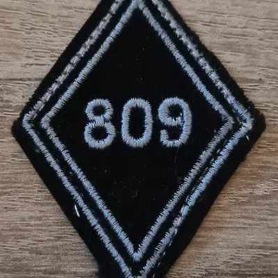 Losange 809eme GRET / Modèle Troupe 