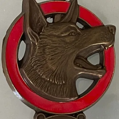 Maitre Chien, Certificat Technique Bronze