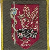 SSA : Régiment Médical Félin type 1 3ème CMC