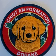 Chiot en formation