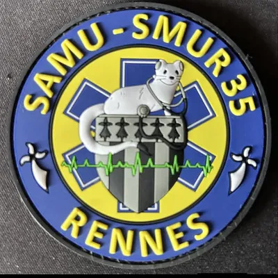SMUR 35 Rennes
