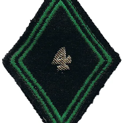 Losange du 4ème Régiment de Chasseurs - Modèle en canetille