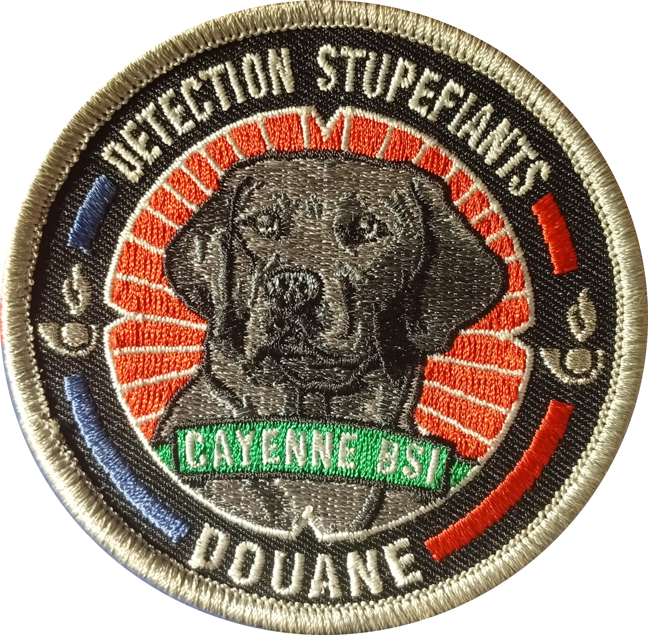 BSI - Cayenne - Detection Stupefiants 