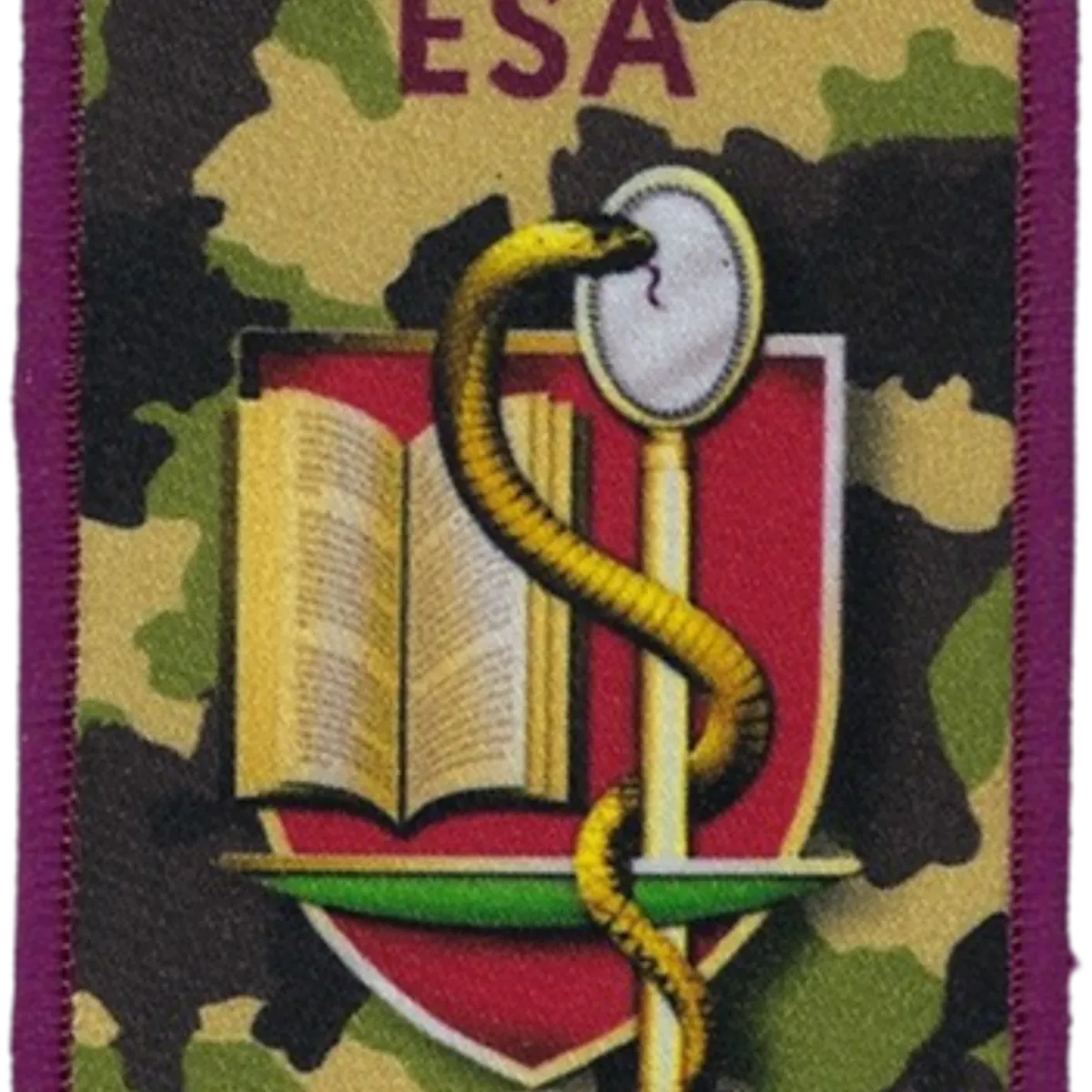 SSA : ESA Lyon Bron