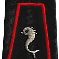 Passant d'épaule du 12ème Régiment de Cuirassiers - 2ème Escadron