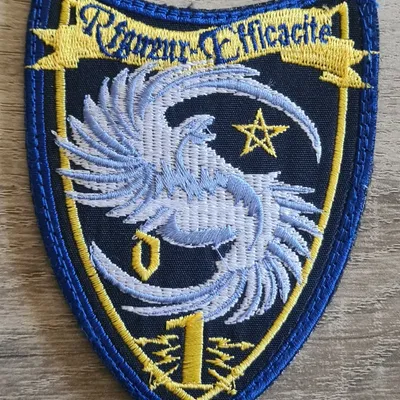 41e RT / 1ere Cie / Rigueur Efficacité 