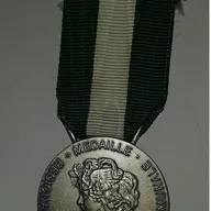 Médaille Départementale de la Fonction Publique - échelon Argent 20 ans de services - 1