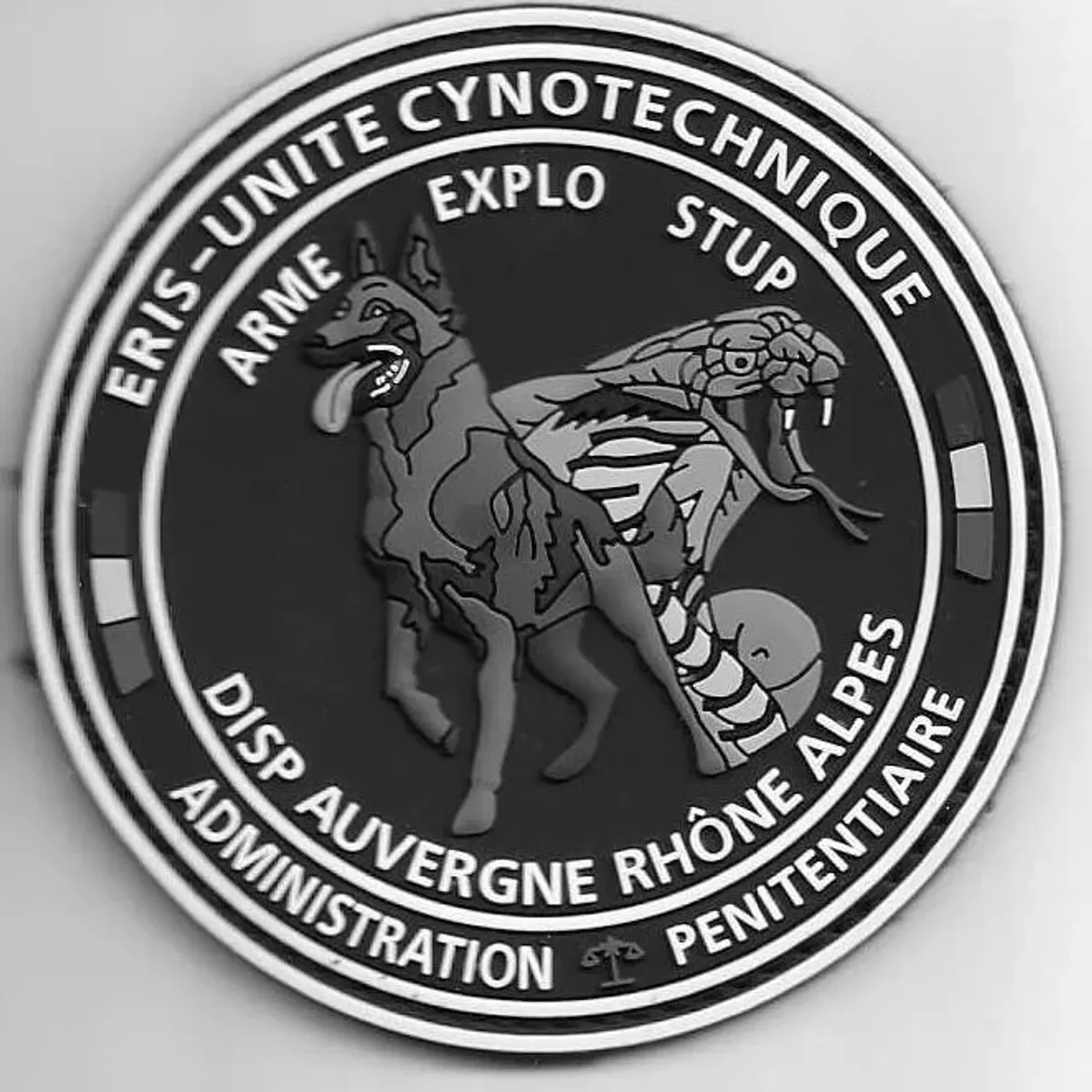 Cynotechnie pénitentiaire - DISP - Lyon