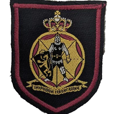 Insigne corps de la Protection civile