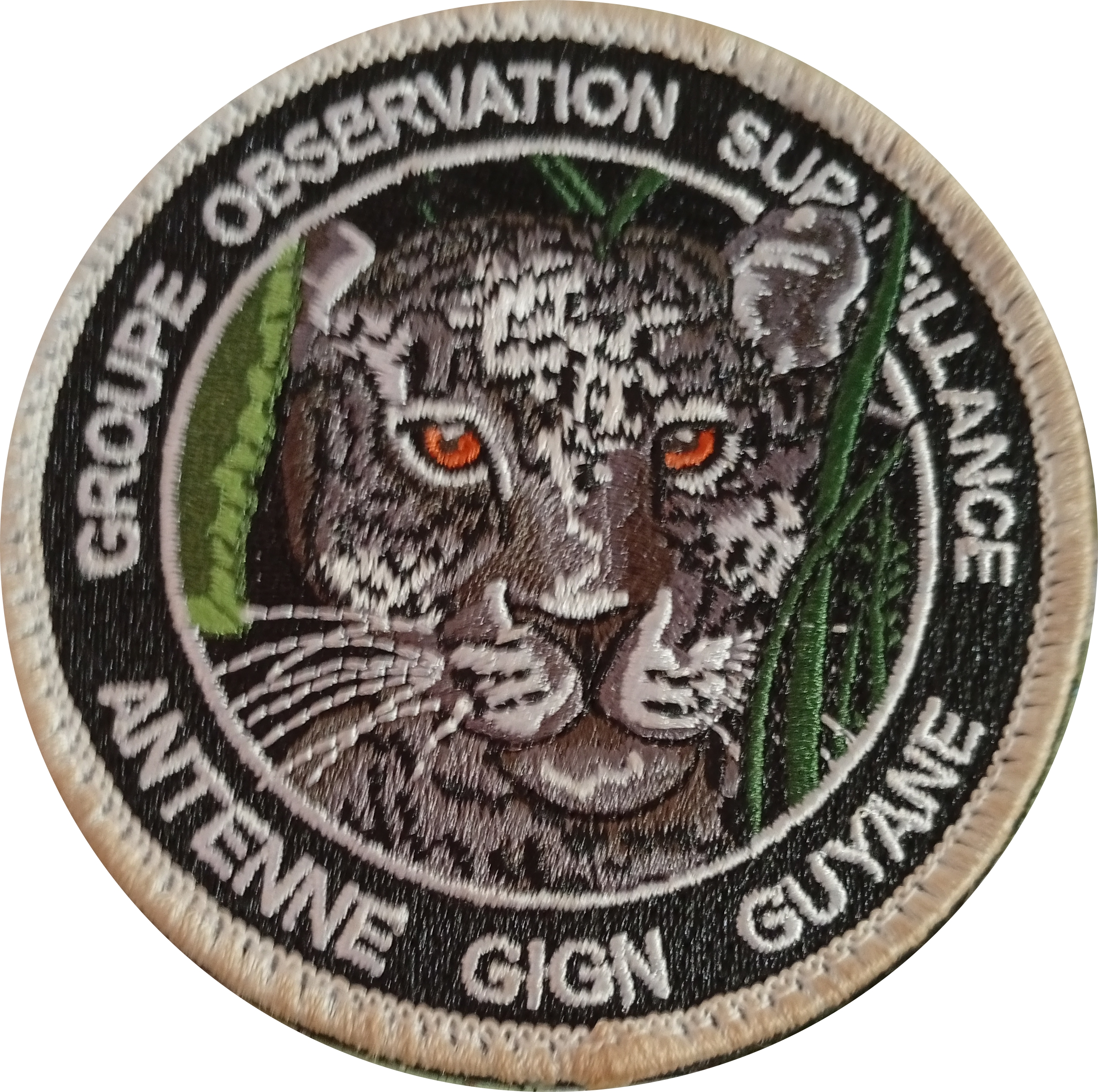 Antenne GIGN Guyane - GOS