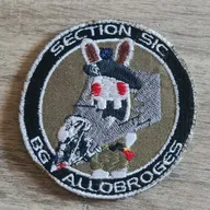 PAMIR / BG ALLOBROGES / SECTION SIC / 7e BCA