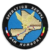 Opération Serval - GAM Hombori