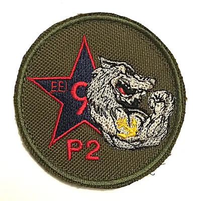 Régiment d'Infanterie Chars de Marine - EII9 - 2e Peloton