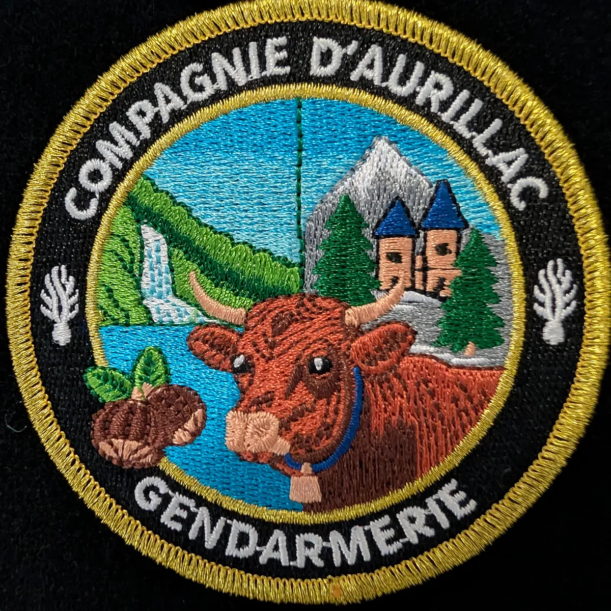 Compagnie d'Aurillac (15)