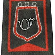 Passant d'épaule du Groupe d'Escadrons 2ème Régiment de Chasseurs - 2ème Escadron (V2)