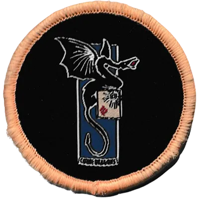 2ème Régiment de Dragons NRBC - Ecusson de tenue de sport rénovée (TSR)