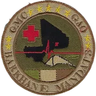 SSA : GMC GAO Mandat 3