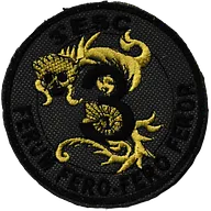 1er Régiment de Chasseurs - 3ème Escadron