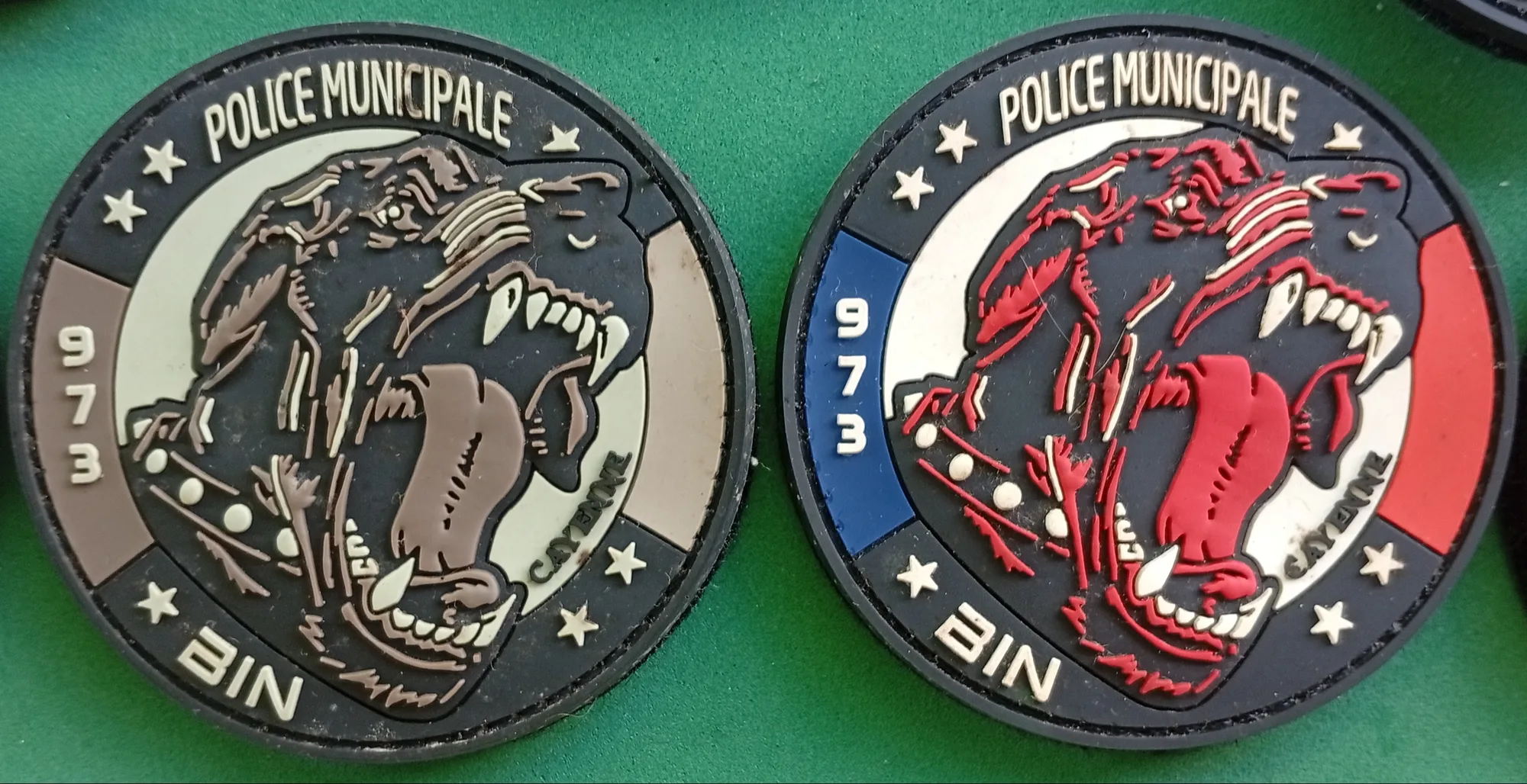 PM - Cayenne - K9 - 2