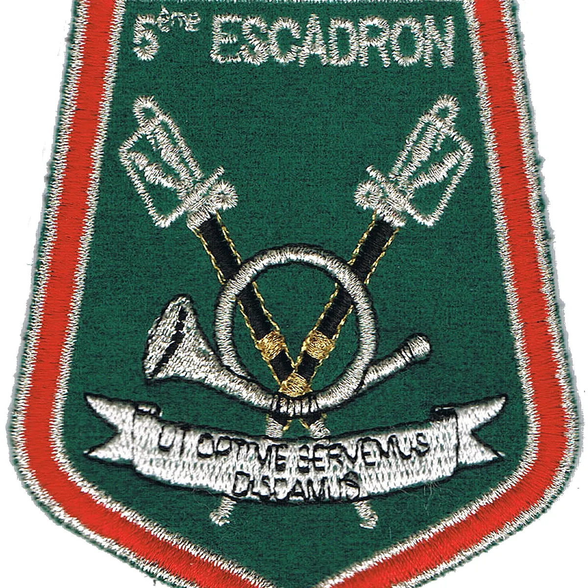 1er-2ème Régiment de Chasseurs - 5ème escadron (Unité de réserve)