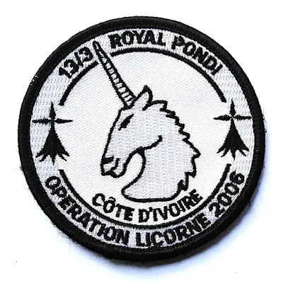 EGM 13/3 Pontivy - Opération Licorne