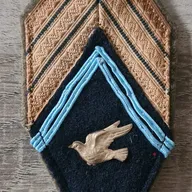 Losange Colombophile / 2 soutaches / Sergent Chef 