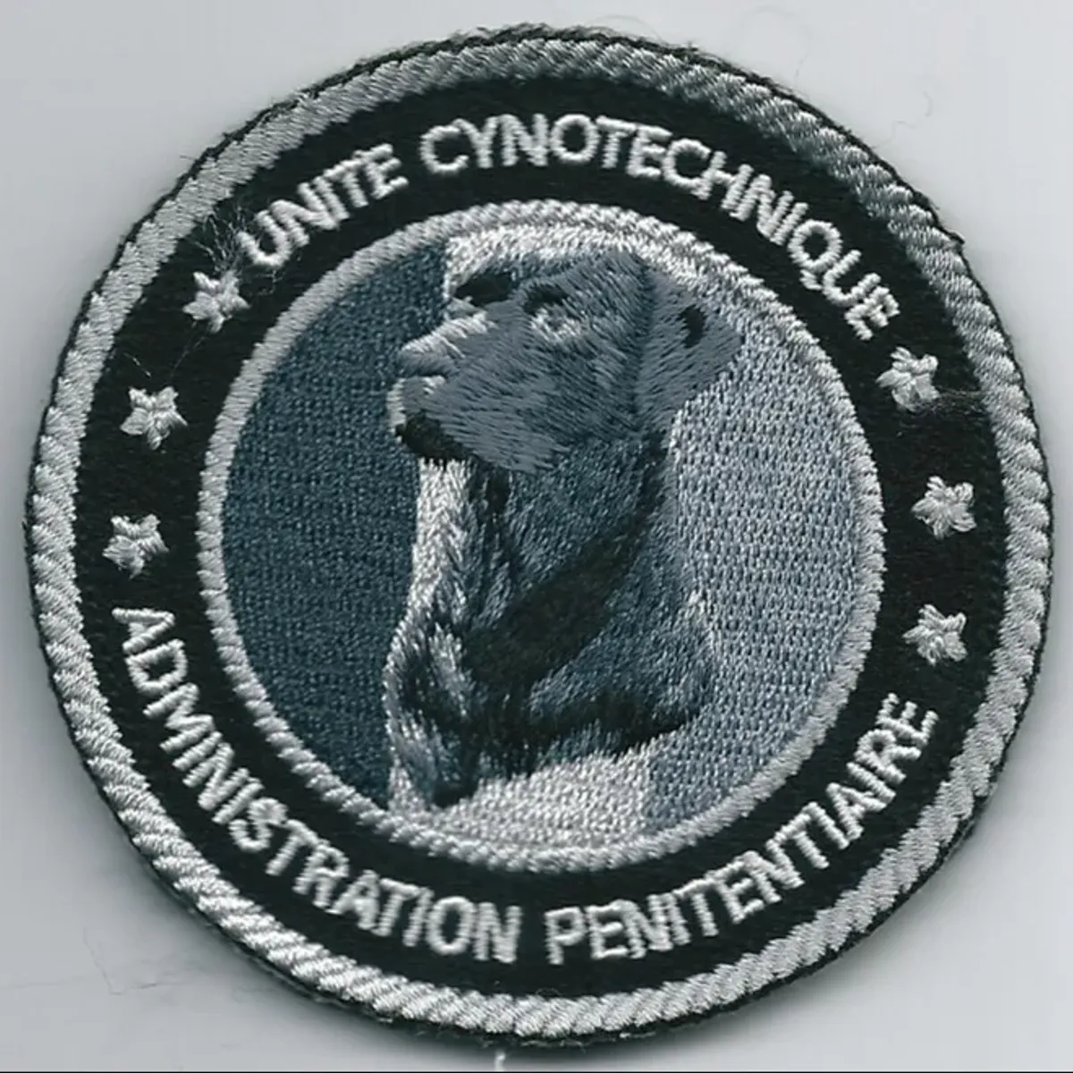 unité cynotechnique AP