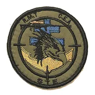 RMT - CEA - STE