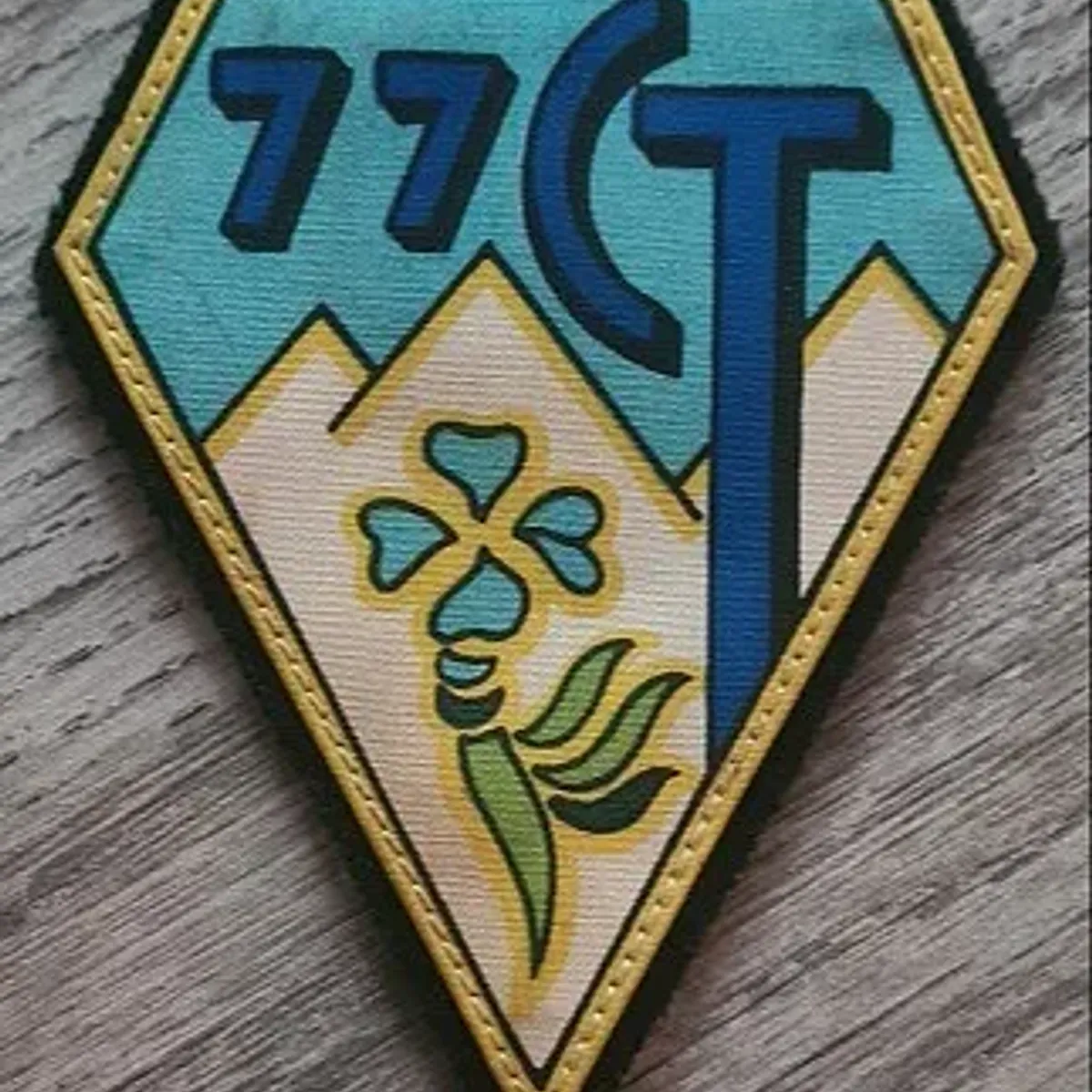 77e Compagnie de Transmissions 