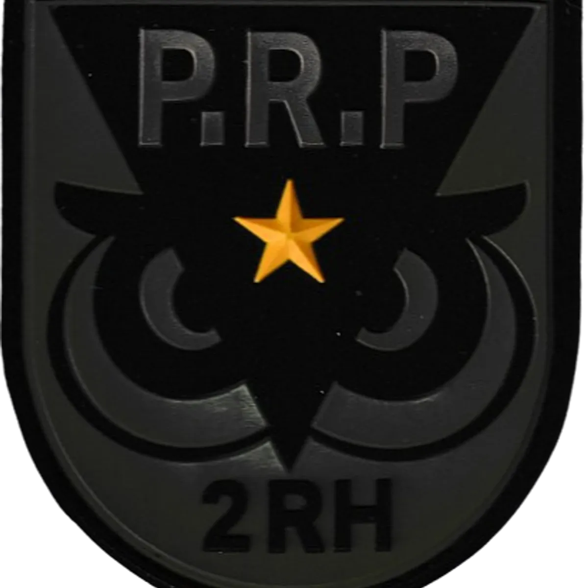 2ème Régiment de Hussards - Patrouille de Recherche Profonde - Chef d'équipe