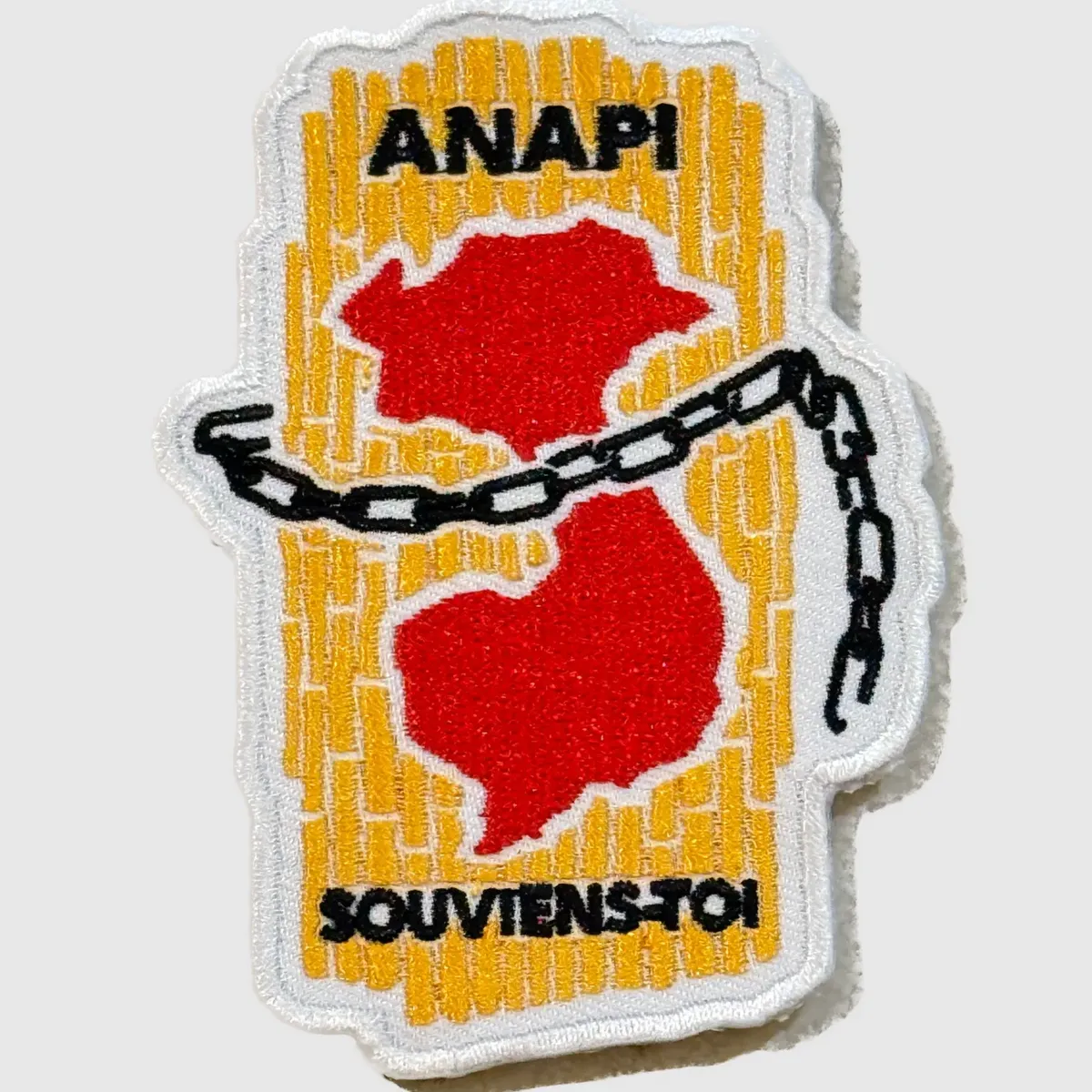 Indochine - Souviens-toi ANAPI
