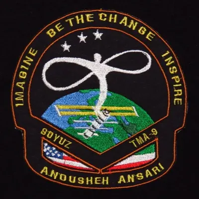 ANSARI Soyouz TMA-9
