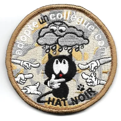 Chat Noir - Adopte un collégue . Com
