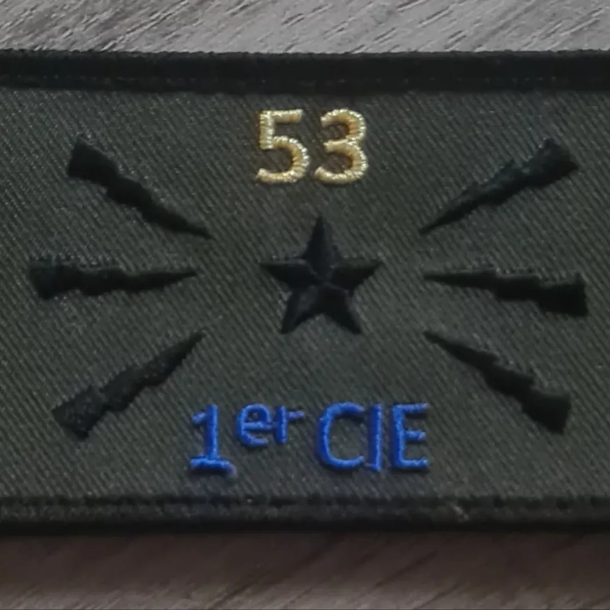 53e RT / 1ere Cie 