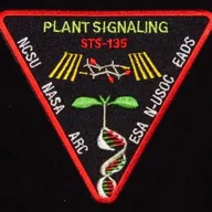 STS-135 Plants – Recto