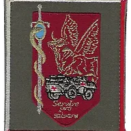 SSA : Régiment Médical Félin type 1 810ème HMC