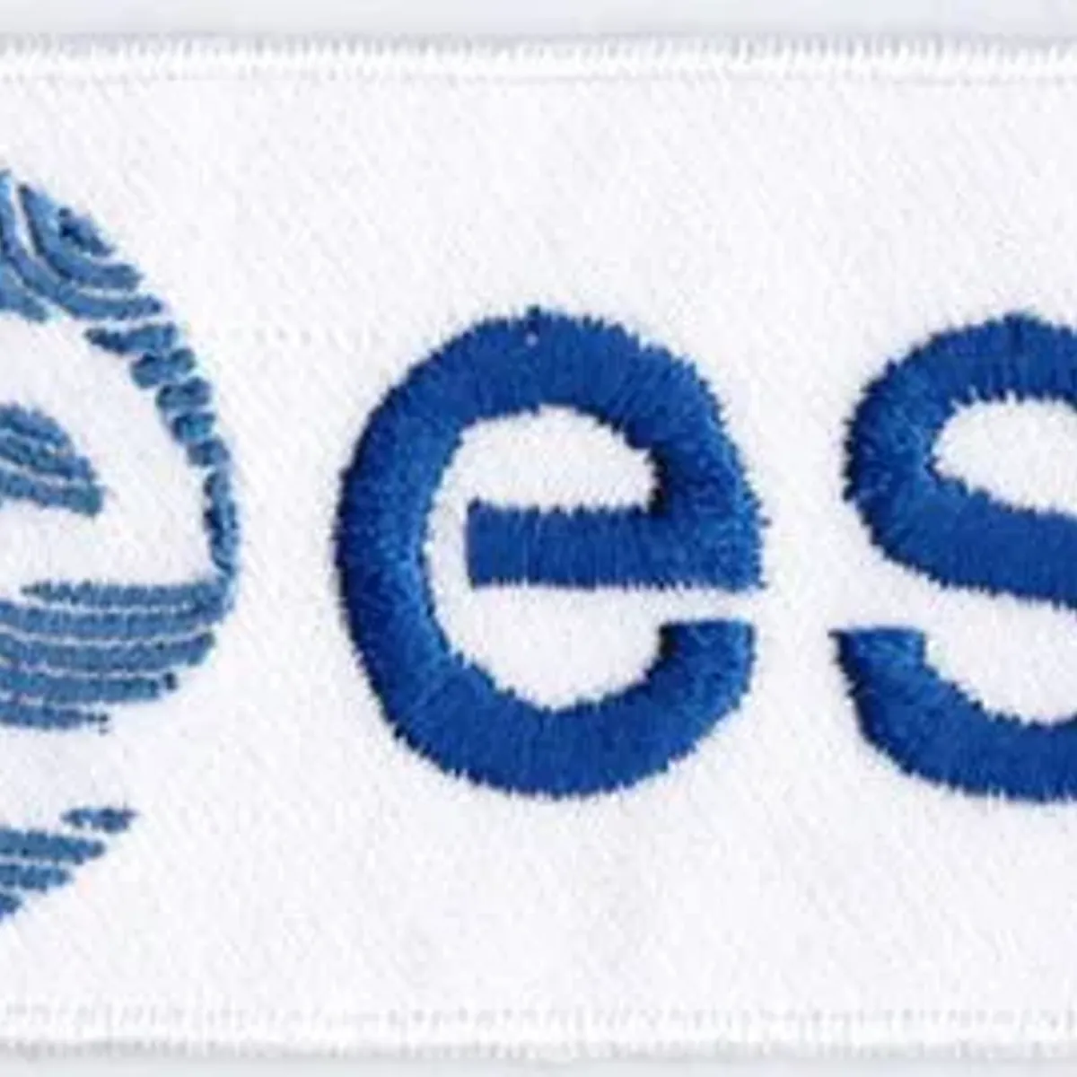 logo ESA