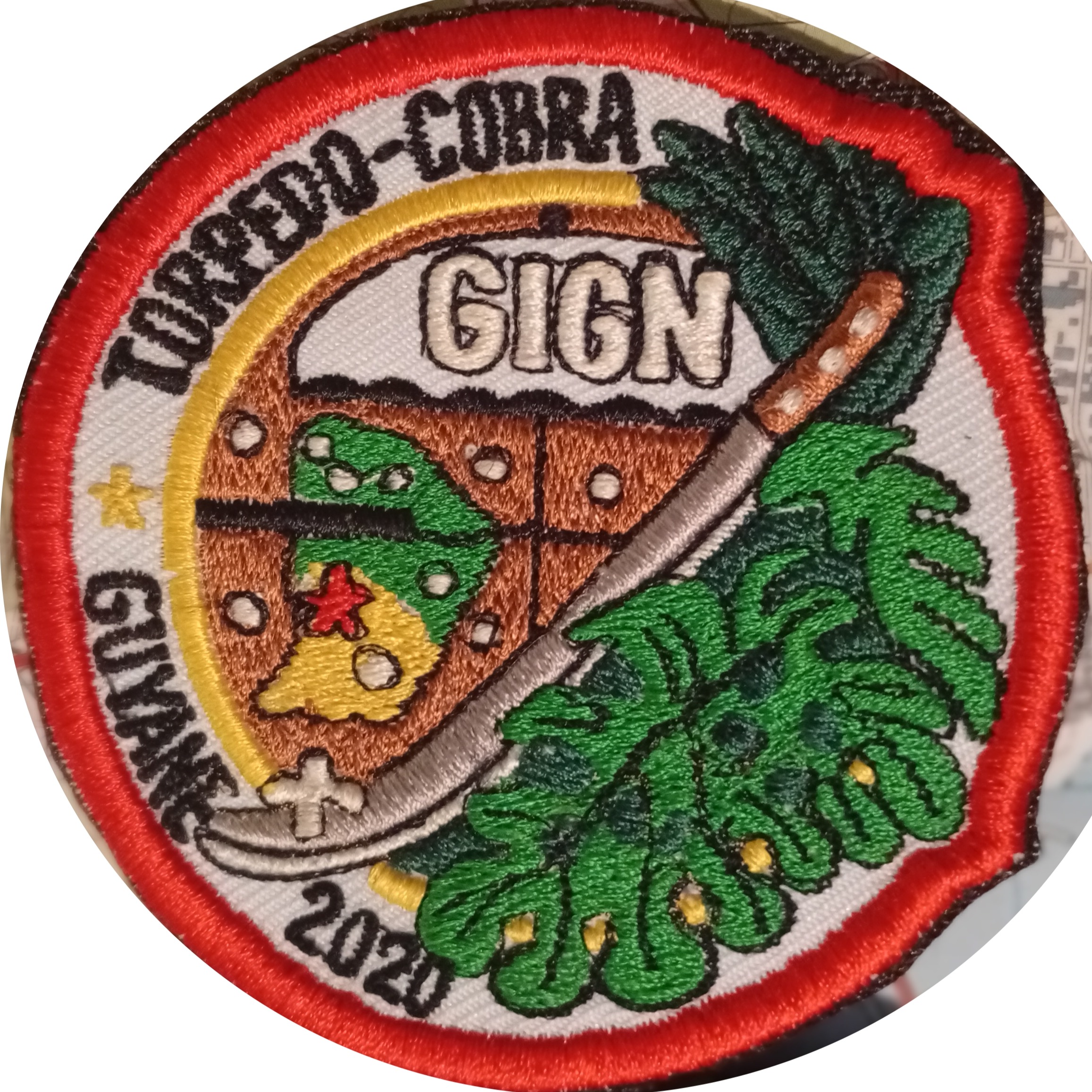 GIGN - Guyane 2020 COPIE
