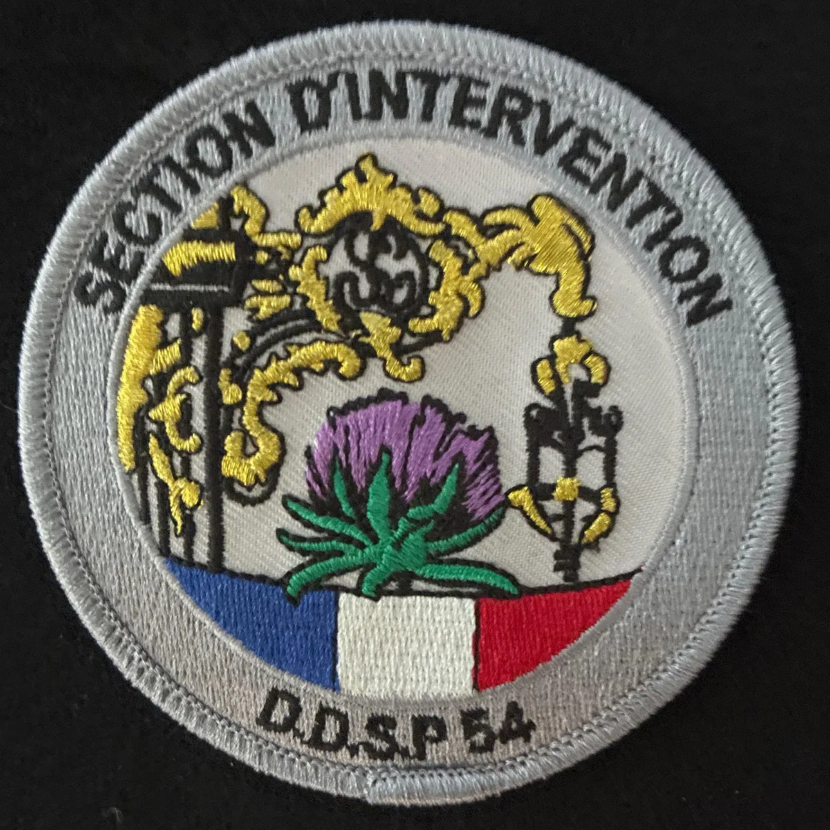 Rondache section d’intervention Nancy