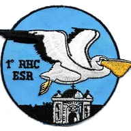 1er RHC - ESR