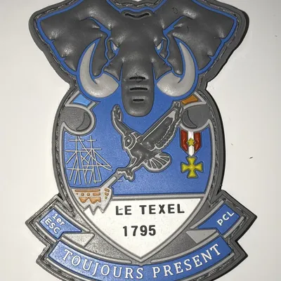 2ème Régiment de Hussards, 1er Escadron, Peloton de Commandement et de Logistique 