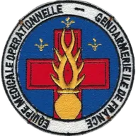 SSA GN : EMOGIF Type II