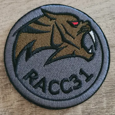 40e RT / 3e Cie / RACC31