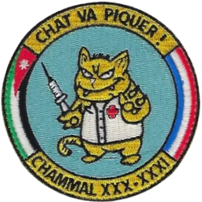 SSA : CHAMMAL 30-31 "CHAT VA PIQUER"