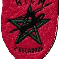 Régiment d'Infanterie Chars de Marine - 2ème Escadron
