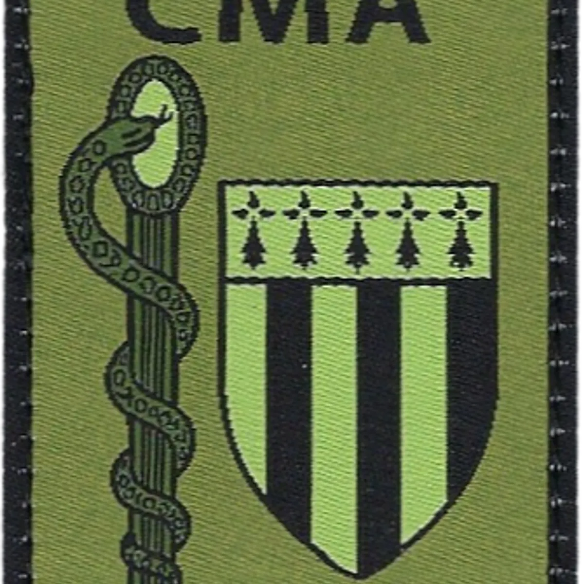 SSA : CMA Rennes (15ème CMA) Type 2 BV
