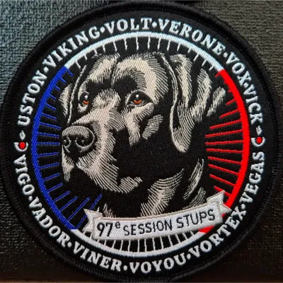 97e session STUP