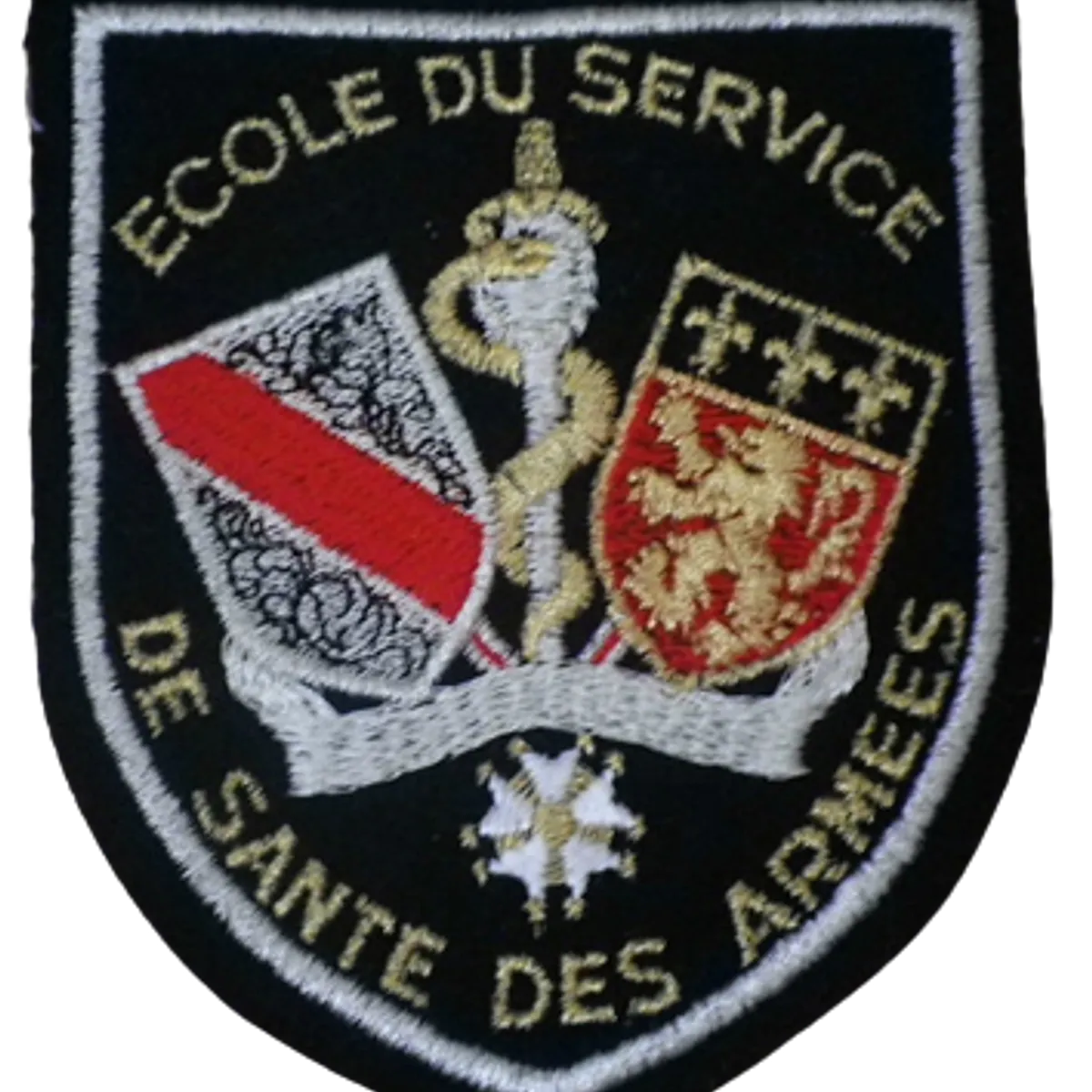 SSA : ESSA Lyon 