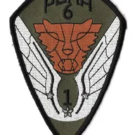 1er RHC - 6e EHM - Puma