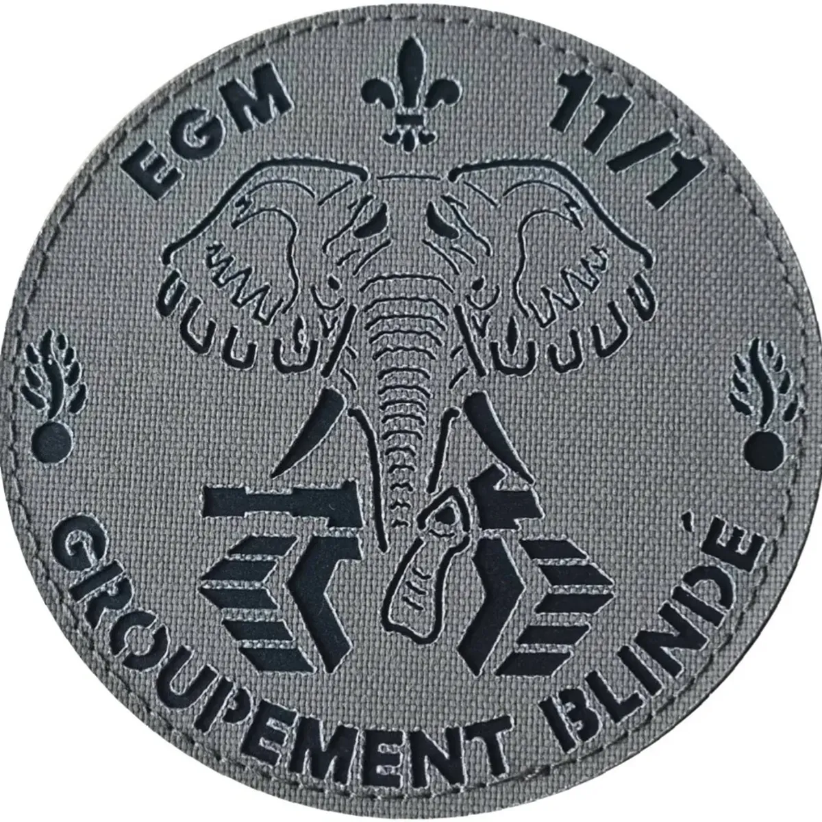 EGM 11/1 Satory - Groupement Blindé